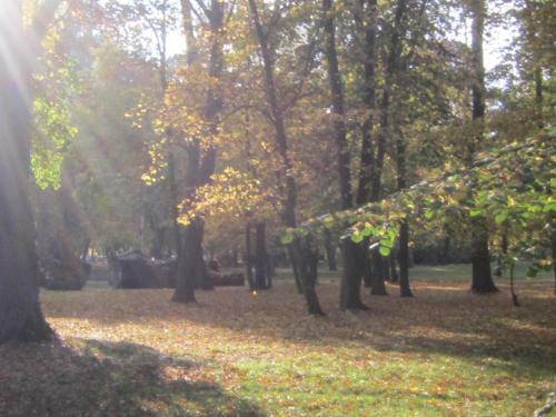 Hostal Csigah�z Panzi�