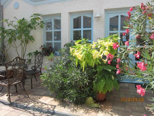 Hostal Csigah�z Panzi�