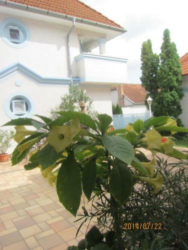 Hostal Csigah�z Panzi�
