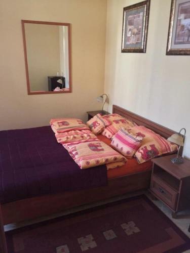 Hostal Arany Elef�nt Panzi�