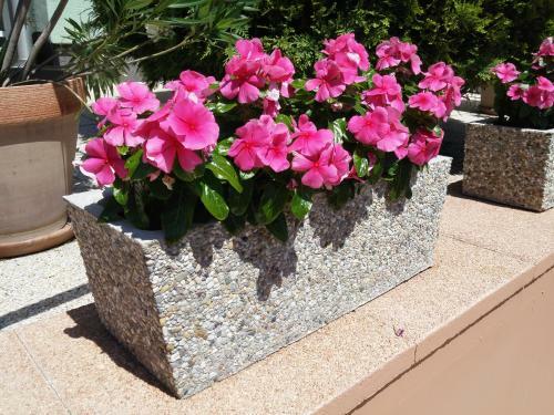 Hostal Green Guesthouse Balatonf�red