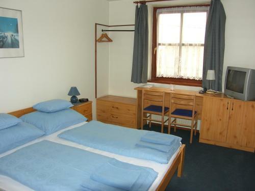 Hostal Adler Panzio