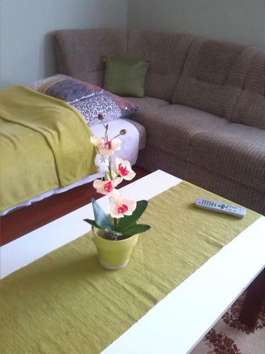 Apartamento Napsug�r Vend�gh�z Szilv�sv�rad