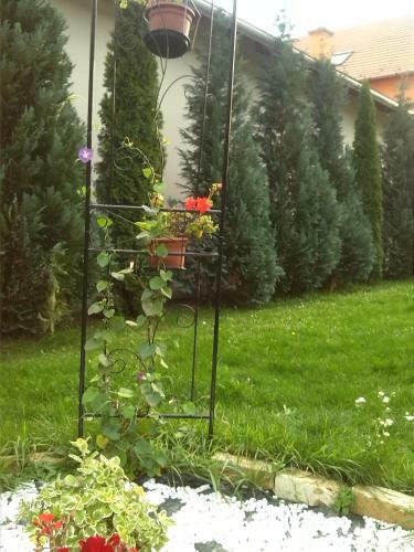 Apartamento Napsug�r Vend�gh�z Szilv�sv�rad