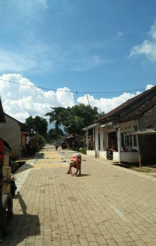 Ijen Crater Guesthouse