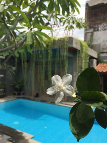 Nextdoor Homestay