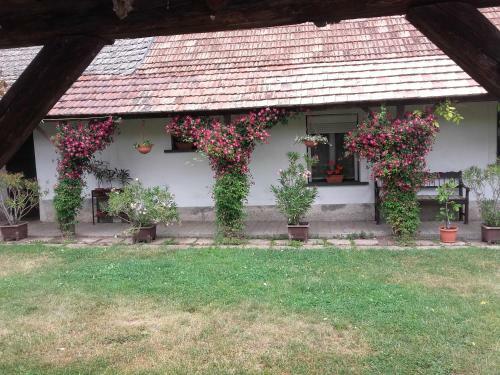 Hostal V�ndektanya Vend�gh�z
