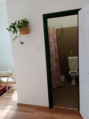 Hostal V�ndektanya Vend�gh�z