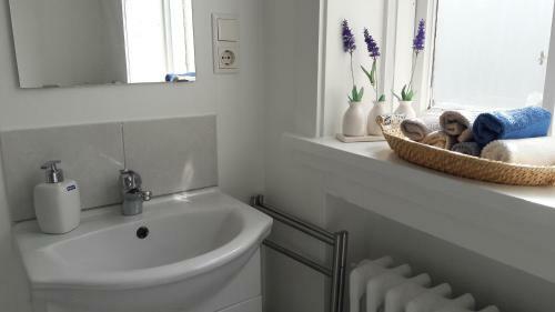 Sk�lav�r�ust�gur Apartments