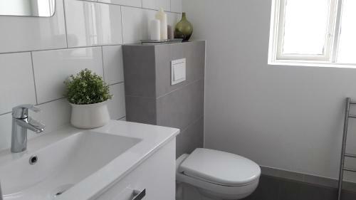 Sk�lav�r�ust�gur Apartments