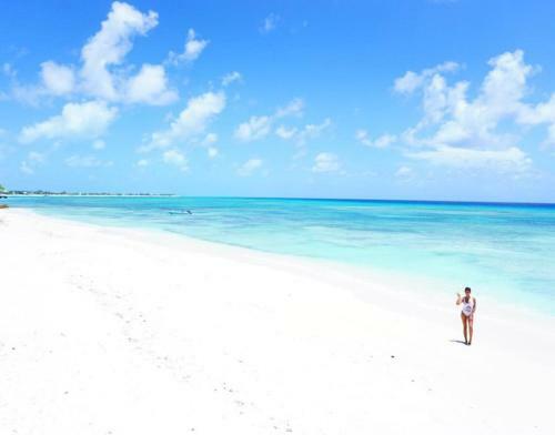 Reef House South