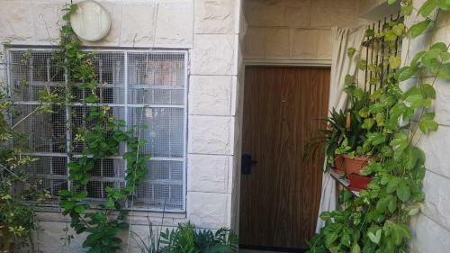 Zohar's Apartment