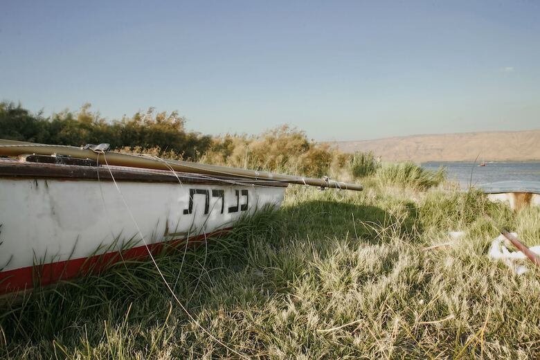 Hotel Kinneret Village