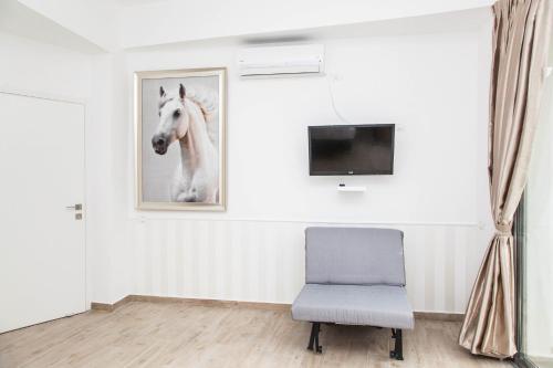 Luxurious Central Apartment