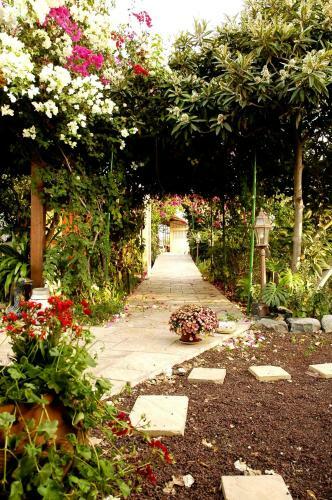 Bed & Breakfast Arbel Guest House Shavit Family