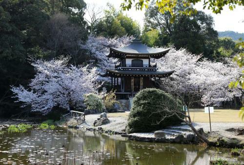 Kyoto Home Tofukuji