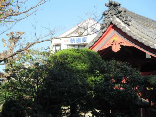 Akitaya