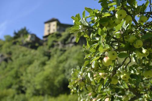Wohlf�hlhotel Mei Auszeit