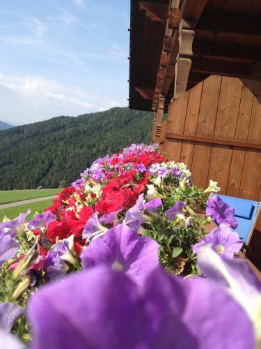 Agroturismo Zehrehof