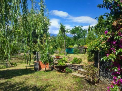 Alberto's Mt.etna B&B