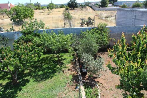 B&B L'isola Che Non C'�