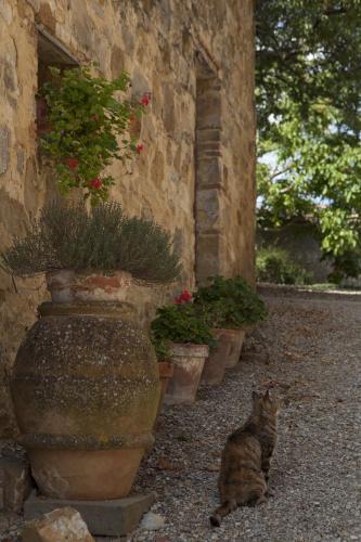 Agroturismo Quercia Al Poggio