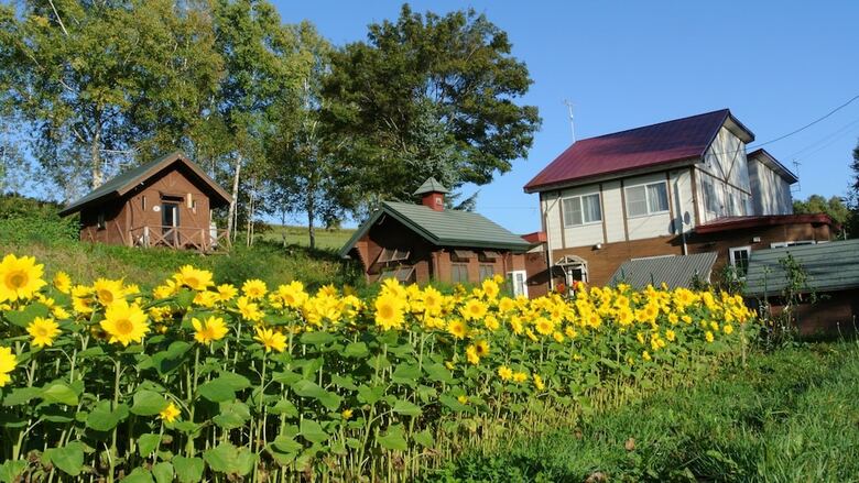 Bed & Breakfast Pension Megumiyuki
