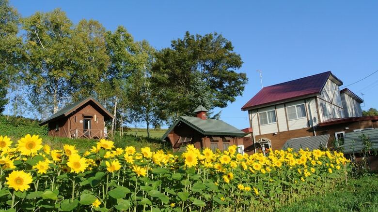 Bed & Breakfast Pension Megumiyuki
