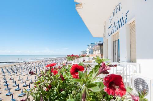 Hotel Telenia