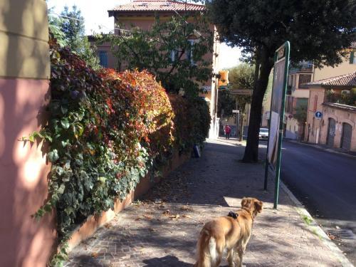 B&B La Castagnina