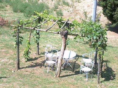 Agroturismo Agriturismo Il Paradiso