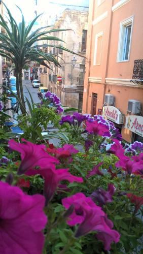 Hostal Tresor Petit