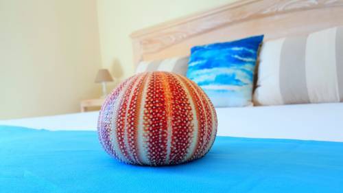 Hostal Brezza Marina Luxury Rooms