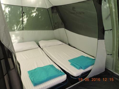 Camping Reale