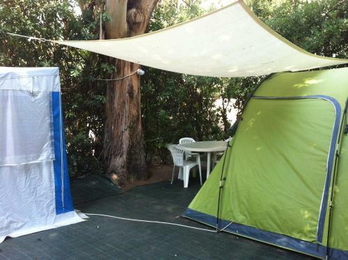 Camping Reale