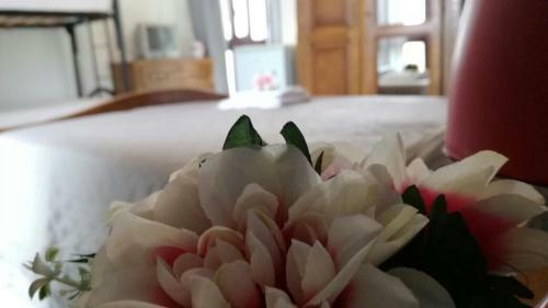 B&B Le Due Palme