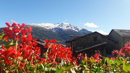 Apartamento Appartamenti Baita Soliva