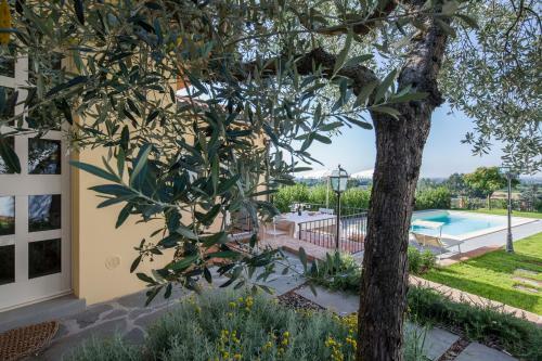 Cottage La Limonaia