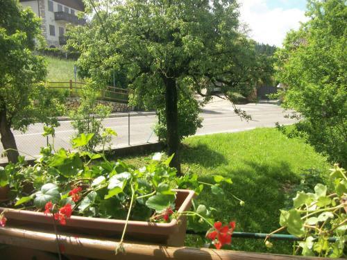 Agroturismo Agri-park Casa Miramonte