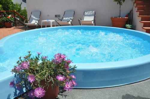 Bed & Breakfast Villa Erade