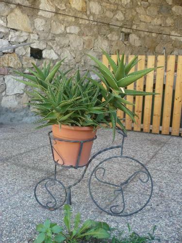 Apartamento Appartamento Michela