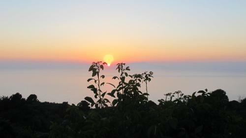 Bed & Breakfast Mariquita