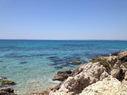 Bed & Breakfast All'ombra Del Palmeto