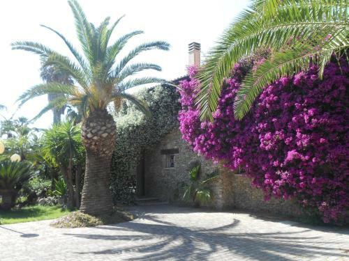 Bed & Breakfast All'ombra Del Palmeto