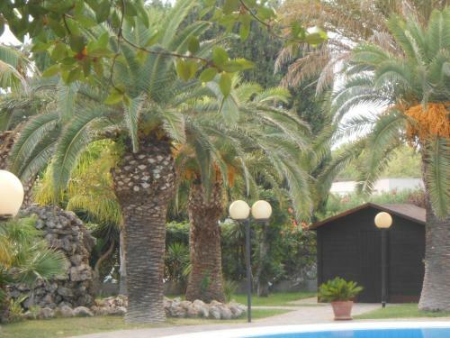Bed & Breakfast All'ombra Del Palmeto