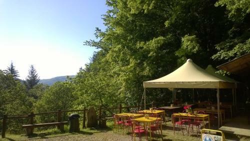 Camping Camaldoli
