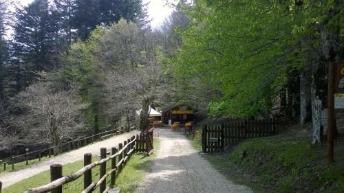 Camping Camaldoli