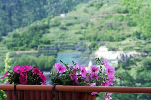 Hotel Tra I Monti