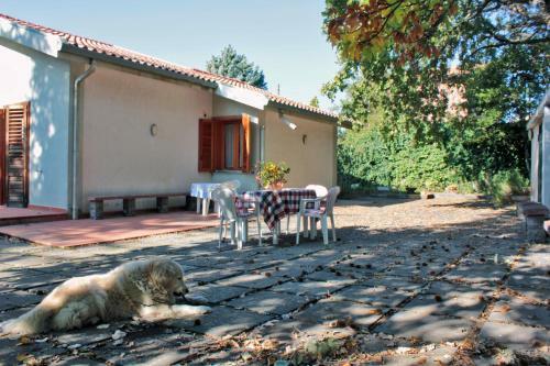 Bed & Breakfast Magma Guest House