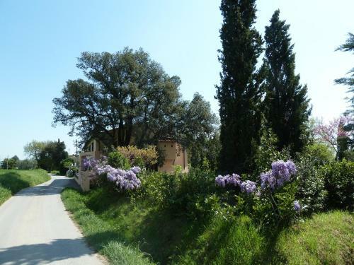 Agroturismo Al Vecchio Leccio